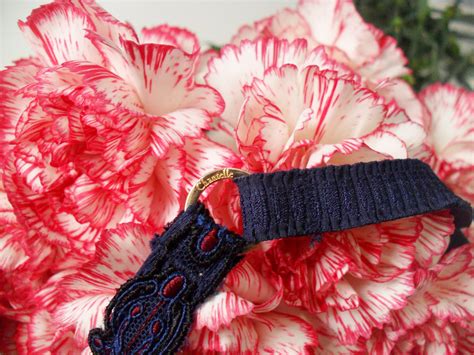 Lingerie Review Chantelle Champs Elys Es Demi Cup Bra Hipster Esty Lingerie