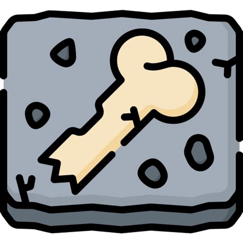 Bone Special Lineal Color Icon