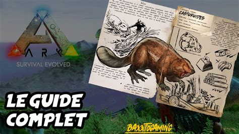 Castor Guide Complet De Ark Survival Evolved Youtube