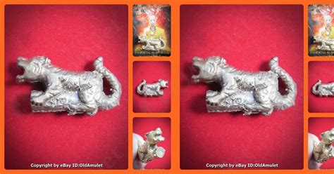 00786 X1 THAI AMULET TIGER BRONZE MIXED LOVE SEX ATTRACTION LP AJAN O 2556 Pha Ajan O