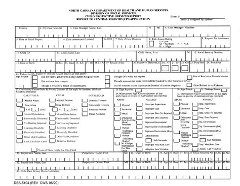 Form DSS-5104. Report to Central Registry / CPS Application – Document