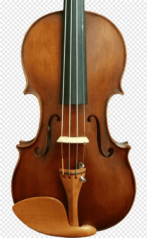 Biola Bass Double Bass Biola Instrumen String Pemain Cello Png