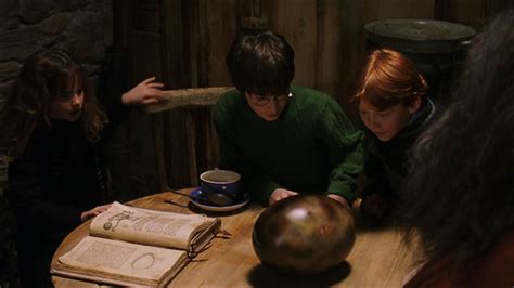 Harry Potter: You'll Never Tell Us Where These Magical Items Came From!