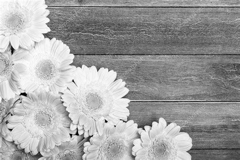 400 Background Bunga Hidup Free Download Myweb