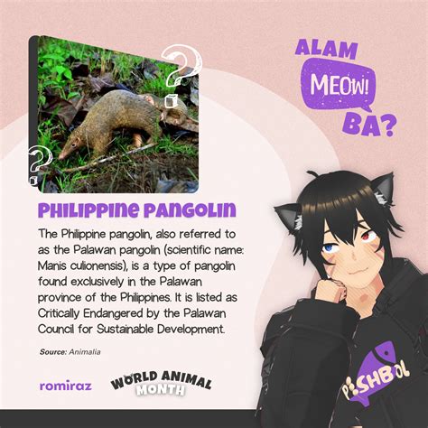 Romiraz - #AlamMeowBa? 😺 Ang Philippine pangolin, kilala rin bilang