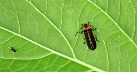 Our report explains how mansfieldnewsjournal covers local events 4