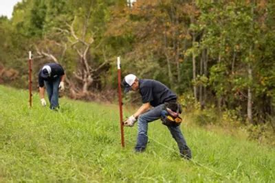 Effective Electric Fencing Solution | Bekaert Fencing