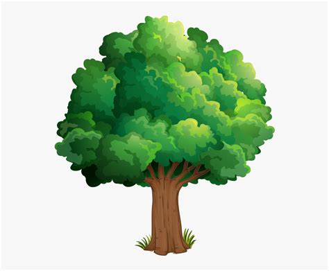 Nature Drawing Theatrical Scenery Clip Art Elm Tree Clip Art Hd Png