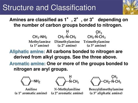 PPT Structure And Classification PowerPoint Presentation Free