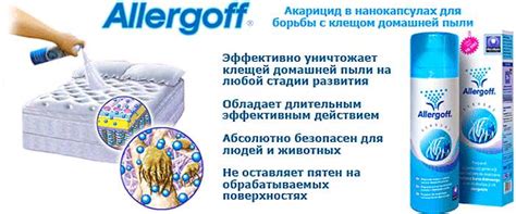 Как избавиться от пылевых клещей в квартире: чем они опасны?