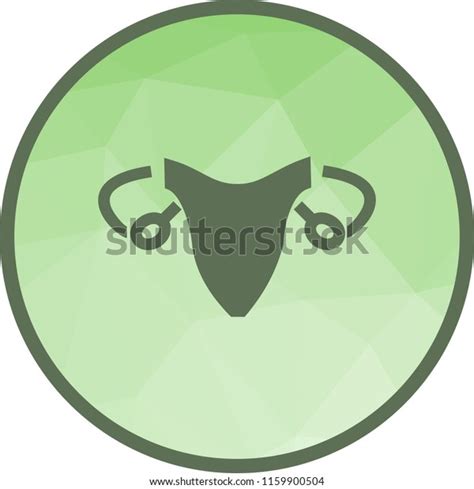 Female Reproductive System Stock Vector Royalty Free 1159900504