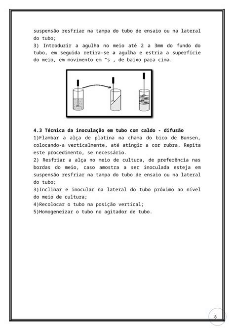 Docx Roteiro De Aula Prática De Microbiologia De Alimentos Dokumentips