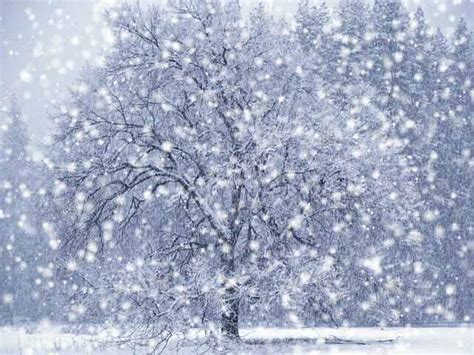 Free Animated Snow Scene Wallpaper - WallpaperSafari