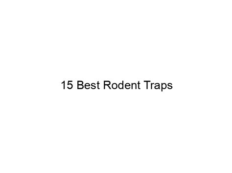 15 Best Rodent Traps May 2024