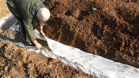 Геотекстиль ландшафтный нетканый - купить в Москве | ПРОТЭКТ