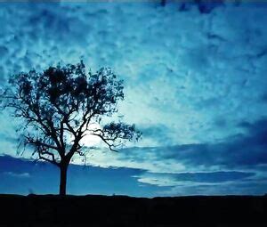 Sexy Miranda Tapsell Nude Words With Gods Video Best Sexy Scene HeroEro Tube