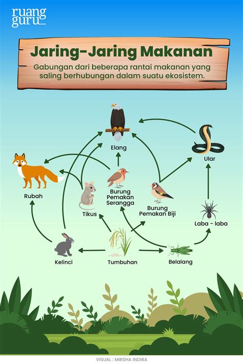 Apa Saja Jenis Jenis Interaksi Dalam Ekosistem Biologi Kelas