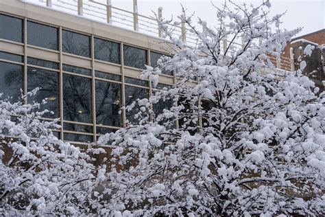 Reminder on winter weather disruptions, guidance for campus events ...