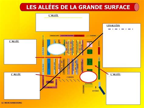 Diagramme De Organisation D Un Magasin Quizlet