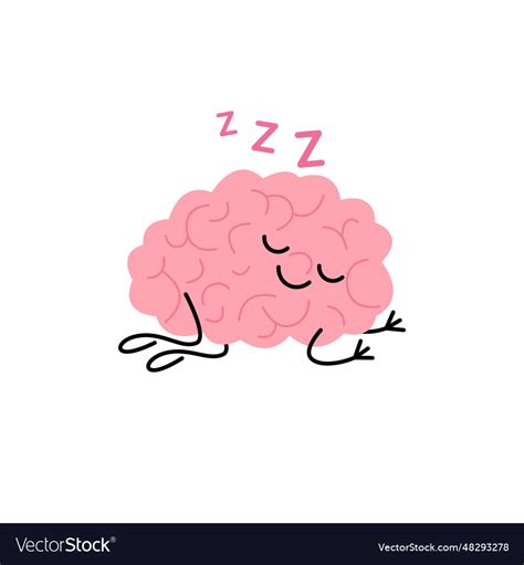 Brain Sleep Nap Rest And Night Recovery Cute Vector Image