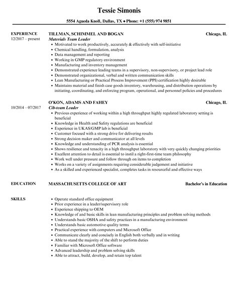 Team Leader Resume Samples Velvet Jobs