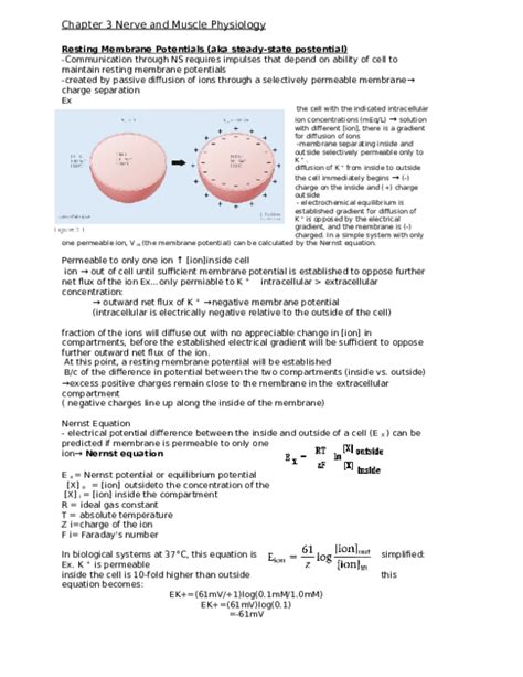 Doc Chapter 3 Nerve And Muscle Physiology Ac Ac