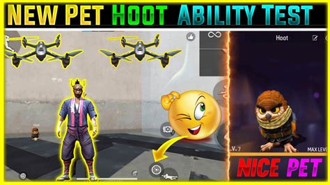 New Pet Hoot Ability Test How To Use Hoot Pet Most Dangerous Pet