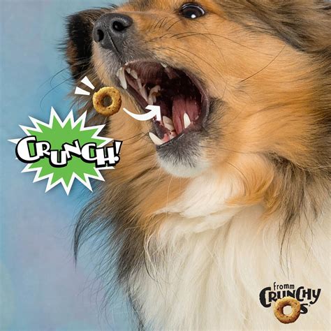 Fromm Crunchy Os Pumpkin Kran Pow® Flavor Dog Treats