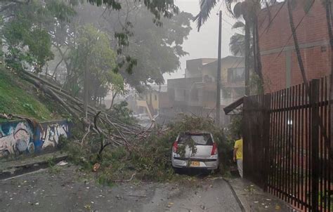 En Imágenes Granizo árboles Caídos Tormenta Eléctrica Y Vías