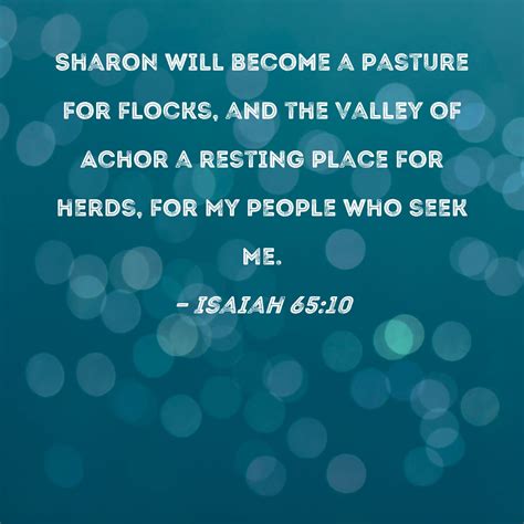 Isaiah 65:10 Sharon will become a pasture for flocks, and the Valley of