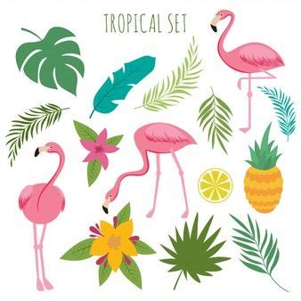 Vector Tropical Con Flamencos Rosados Hojas De Palmera Y Flores