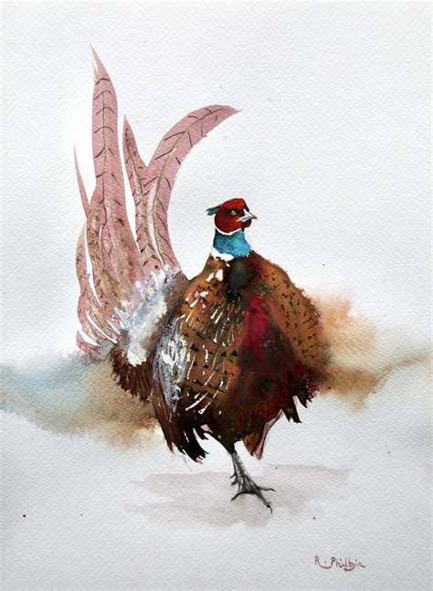 birds, watercolours, pheasant, art Rine Philbin, wildlife