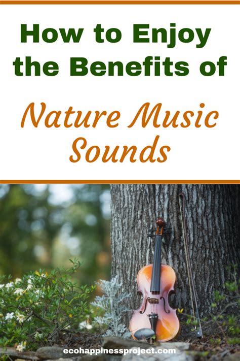 How to Enjoy the Benefits of Nature Music Sounds - Ecohappiness Project