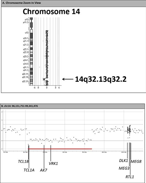 Array Comparative Genomic Hybridization Analysis On The Dna Extracted