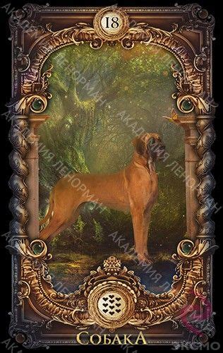 Pin de oneide en Espelho Mágico Lenormand Tarot cartas Tarot