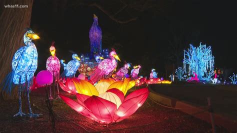 Wild Lights: Lantern festival begins at Louisville Zoo | whas11.com