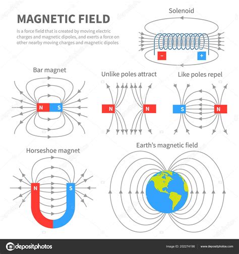 Campo electromagnético y fuerza magnética Esquemas magnéticos polares