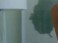 Naked Isabel Lucas In Careful What You Wish For