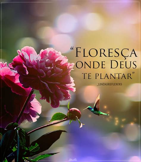 Floresça onde Deus te plantar