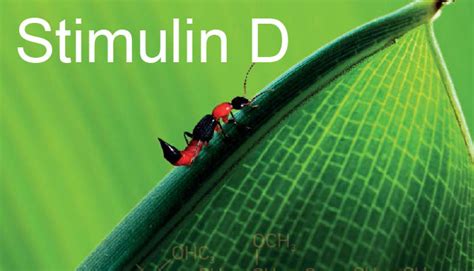Stimulin-D: eine einzigartige Medizin - Heilpraxis für ganzheitliche ...
