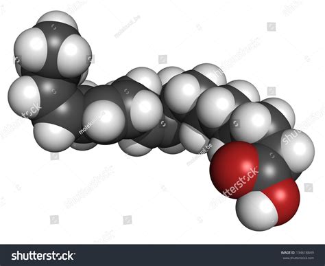 Omega 3 Unsaturated Fatty Acid Alpha Linolenic Acid Molecular Model