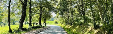 Camino Francés Portomarín A Palas De Rei 398 Reviews Map Lugo