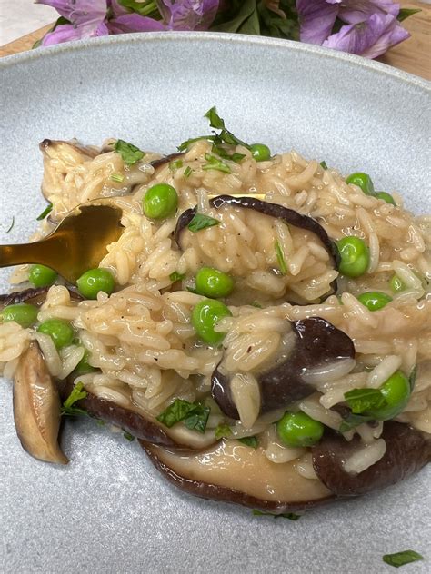 easy mushroom risotto - TK