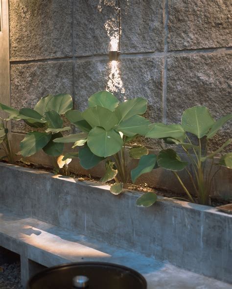 forum syair sdy mbah buyut 5