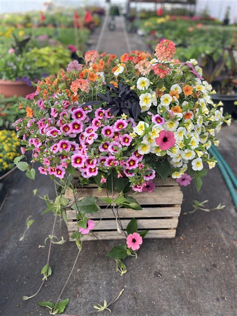 Tan Republic Corvallis - 9th - Teachers! Are you ready for 'Back To