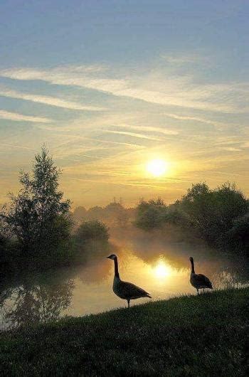 Серпень / Ліричний вірш | Олена Коленченко - читати на «Проба Пера»