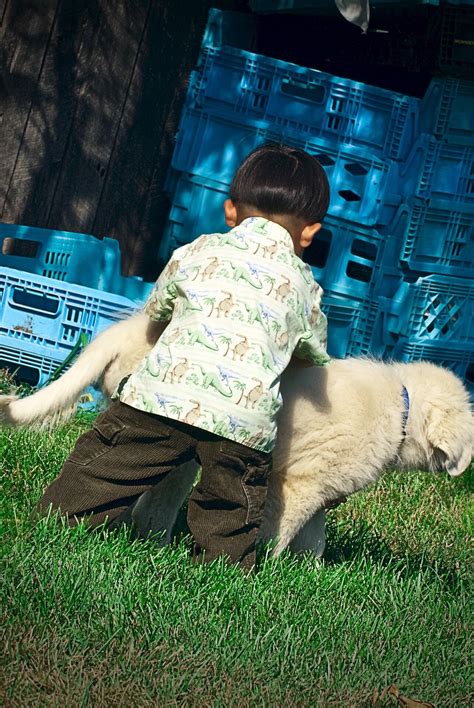 Choosing The Right Pet (Before You Come To Us For Your Pet Products)