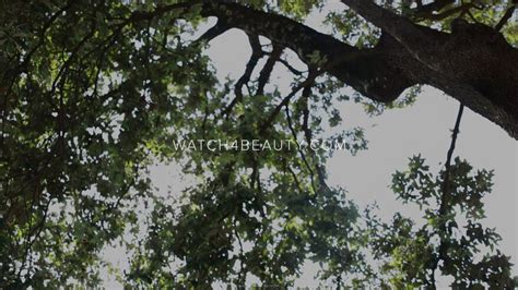 Mila Azul Enjoy The Beauty Video W4B Scene07601 Porn Pic