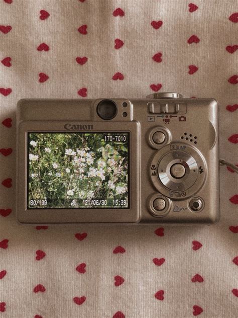 Flower Aesthetic Aesthetic Photo Aesthetic Pictures Red Aesthetic