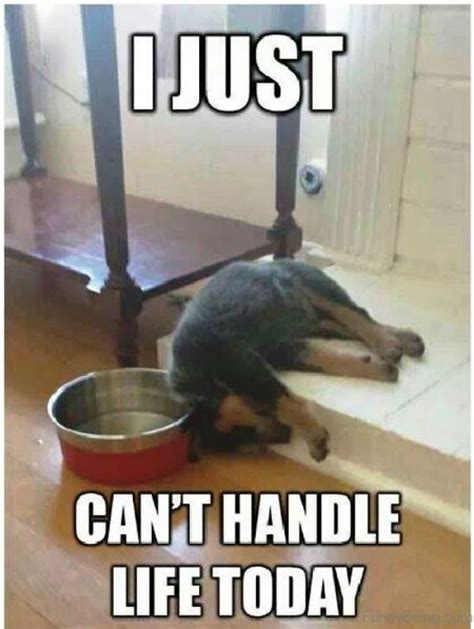 30 Hilarious Life Memes To Complete Your Day
